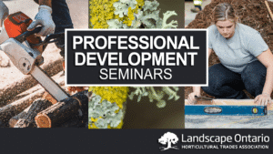 Professional Development Seminars