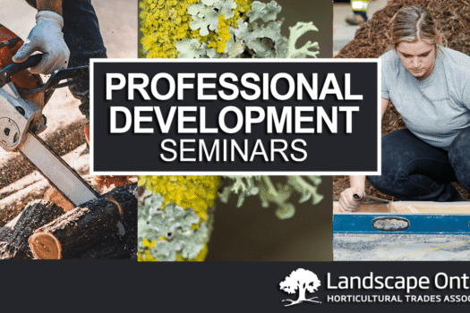 Professional Development Seminars