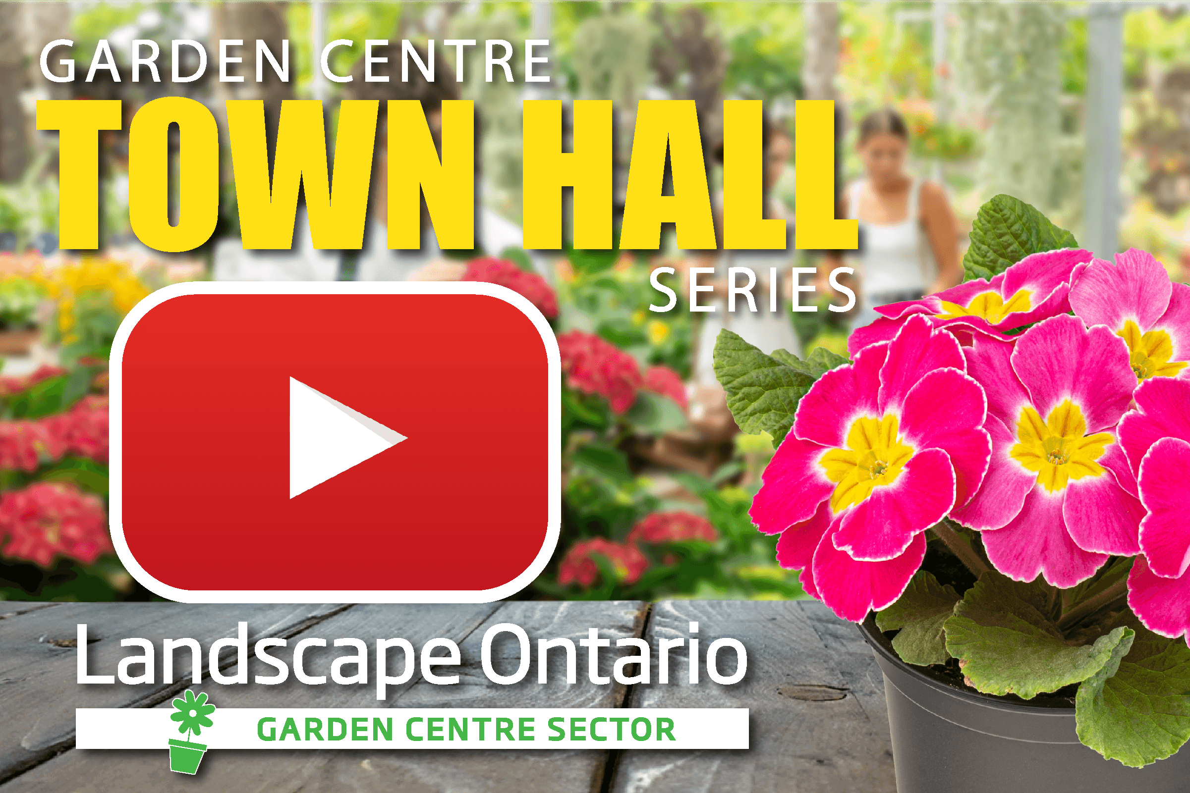 Graphic for Garden Centre Town Hall with pink flowers