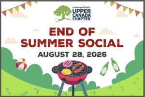 End of Summer Social Banner