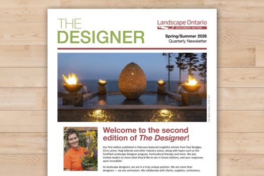 The cover of a newsletter on a wood background