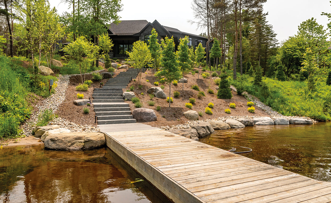 A hill planted with trees and small shrubs on the waterfront with a wooden dock