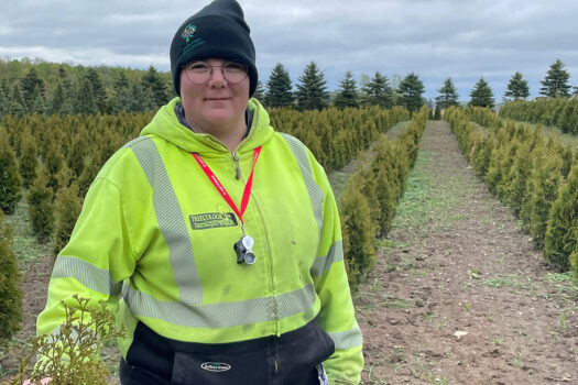 a person in a yellow shirt and toque inspecting a shrub in a nursery field