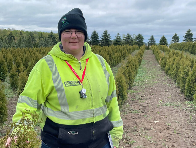 a person in a yellow shirt and toque inspecting a shrub in a nursery field