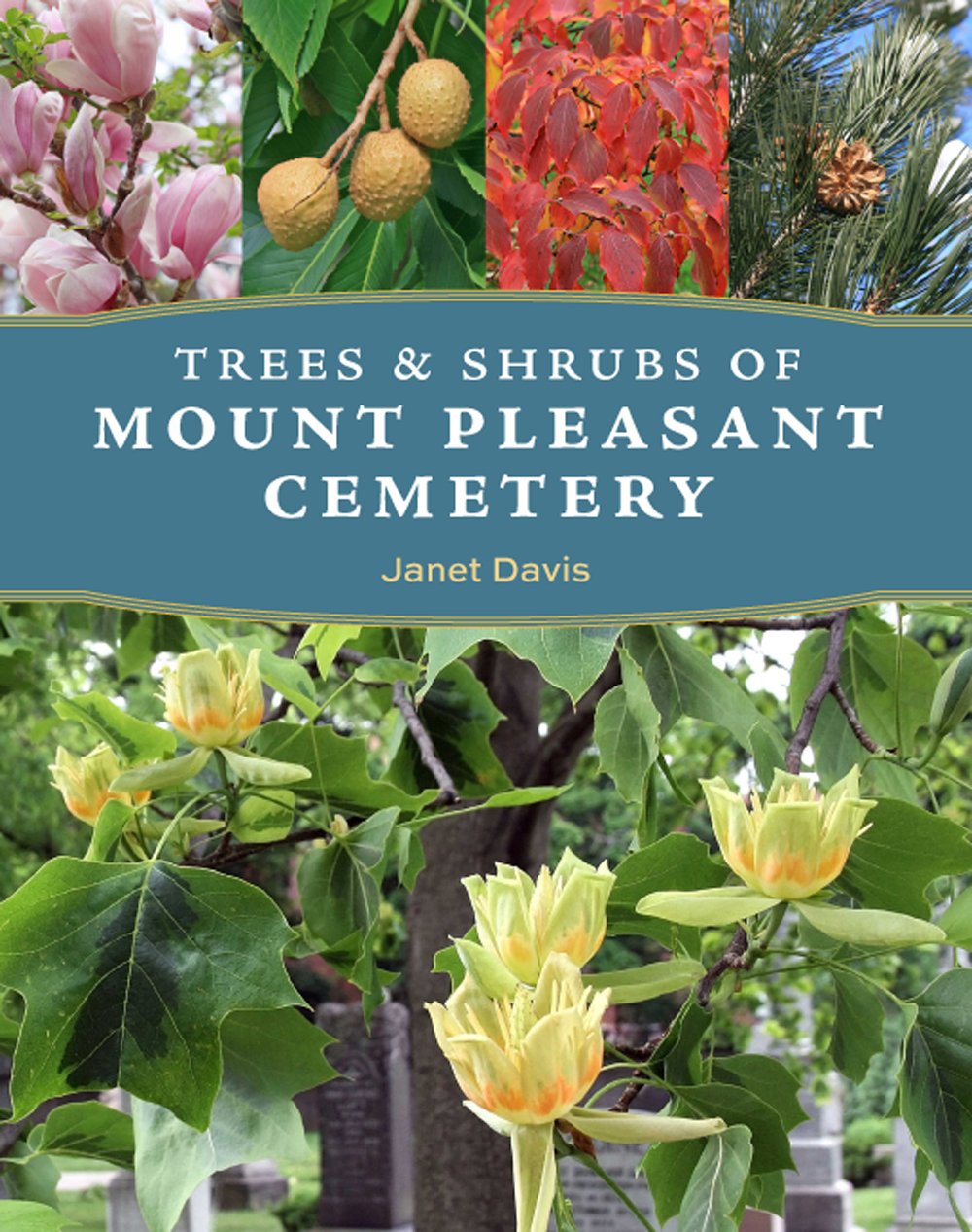 Cover of a book titled 'Trees & Shrubs of Mount Pleasant Cemetery'
