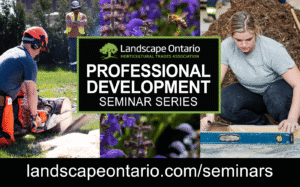 Professional Development header image
