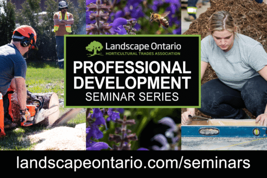 Professional Development header image