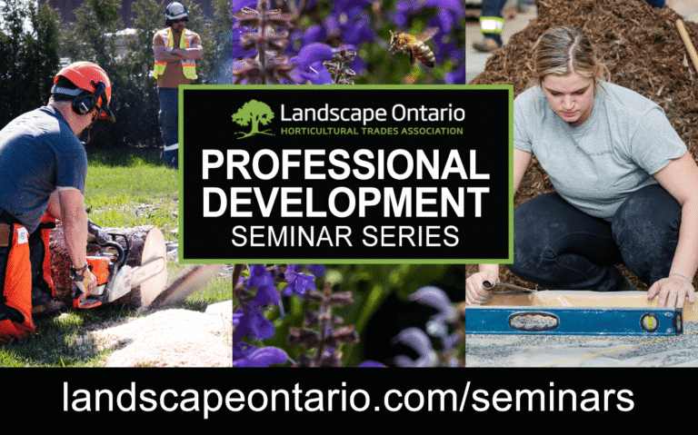 Professional Development header image