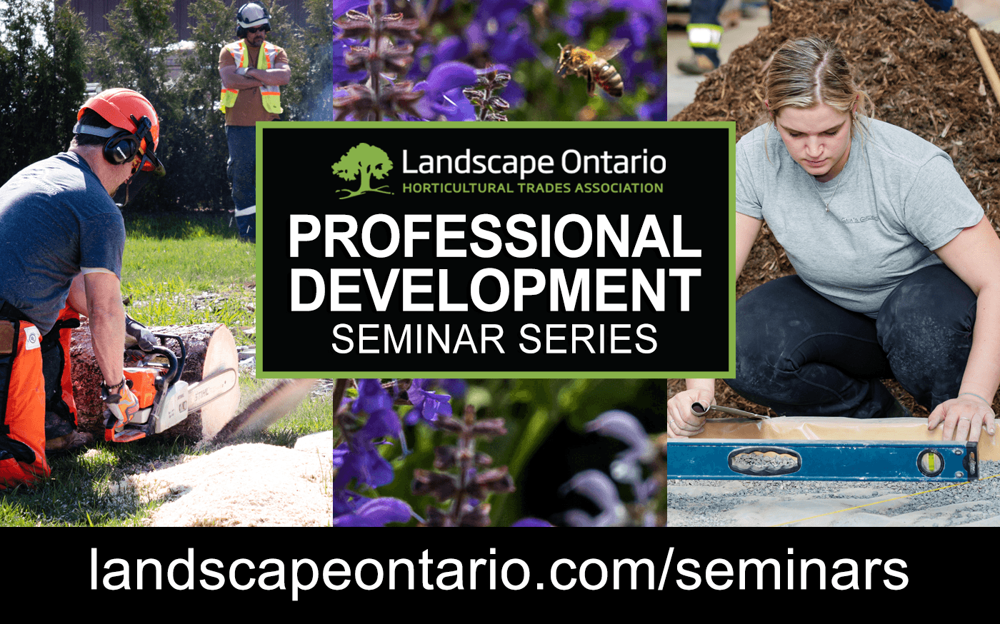 Professional Development header image