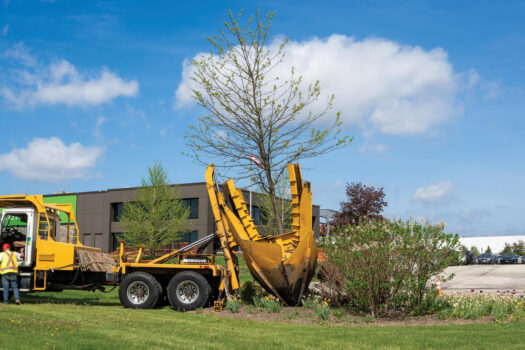 A large yellow tree spade holding an oak tree