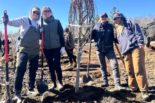 Four women with shovels posing for a picture in front of a tree